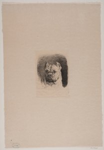 Een Hondenkop door Otto Bache