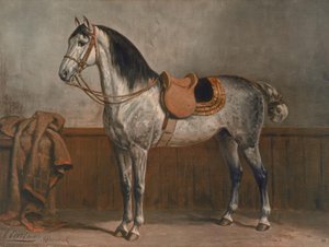 Lipizzaner door Otto Eerelman