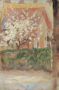 Witbloeiende boom in de voortuin