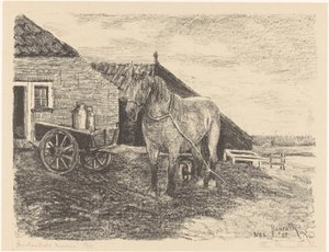 Amelandsche merrie