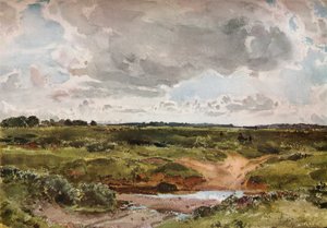 Southwold Common in augustus, ca. 1889