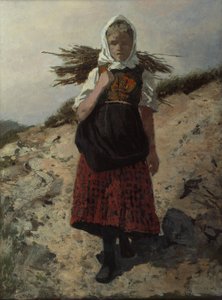Brandhout verzameld