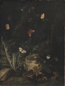 Een bosbodem met een distel, een slang, een hagedis en vlinders