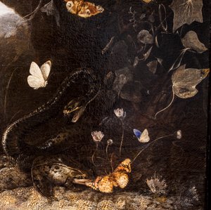 Slangen, padden en vlinders door Otto Marseus van Schrieck