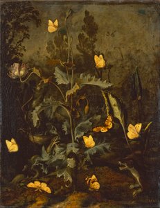 De slang bij het vogelnest / Papaver met vogelnest, slang, vlinders en een wezel door Otto Marseus  van Schrieck