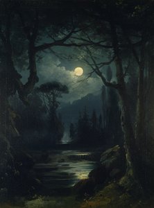 Een boslandschap bij maanlicht