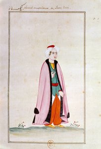 Ottomaanse kunst: een jonge Turk