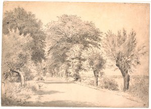 De weg bij het landgoed Vognserup door P.C. Skovgaard