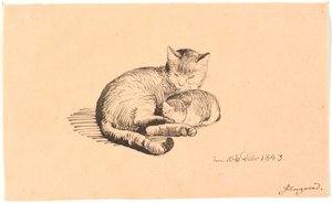 Liggende kat met haar kitten