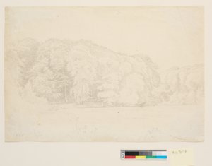 Bosmeer met grote beuken op de achtergrond