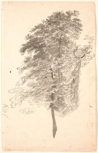 Studie van hoge slanke bomen met loof door P.C. Skovgaard