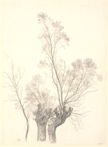 Studie van geknotte wilgen door P.C. Skovgaard