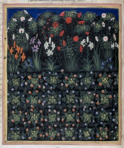 Tuin (Uit: Regia Carmina van Convenevole da Prato). Rond 1335 door Pacino di Bonaguida