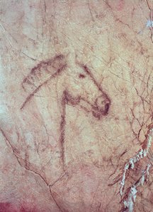 Hoofd van een paard, uit de Cueva de la Pena de Candamo San Roman (rotsschildering) door Paleolithic