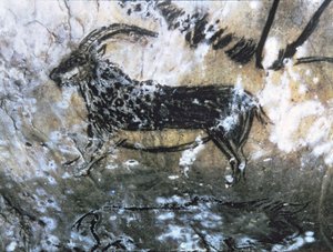 Geit of Gems, rotsschildering in de Zwarte Kamer, Magdalénien (grotschildering) door Paleolithic Paleolithic