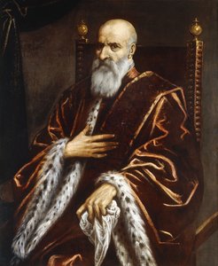 Portret van een Venetiaanse senator, zittend driekwart lengte, in een rode fluwelen mantel door Palma Il Giovane