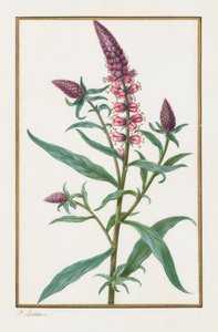 Zonder titel, 1828-1835