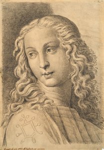 Hoofd van een vrouw, uit 42 Studies of Heads na Raphael