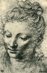 Hoofd van een vrouw die naar beneden kijkt door Paolo Veronese
