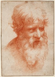 Hoofd van een bebaarde man, naar rechts kijkend, ca. 1523-25 (rode krijt op papier) door Parmigianino (1503 40)