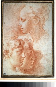 Studie van hoofden door Parmigianino