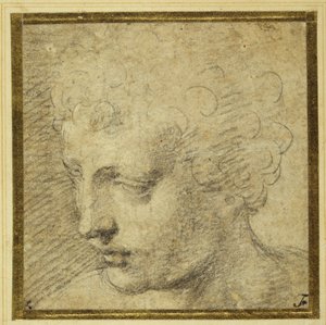 Hoofd van een jongen, bijna in profiel naar links door Parmigianino
