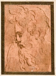 Mannelijk hoofd door Parmigianino