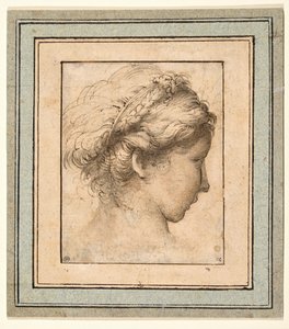 Profielhoofd van een meisje dat naar rechts kijkt door Parmigianino