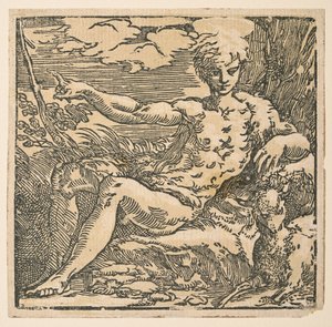 Sint Johannes de Doper in de wildernis door Parmigianino