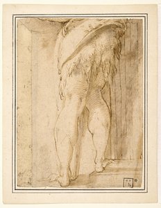 Studie voor benen van Johannes de Doper door Parmigianino
