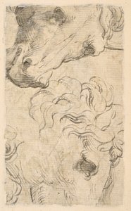 Twee studies van paardenhoofden (fragment) (verso) door Parmigianino