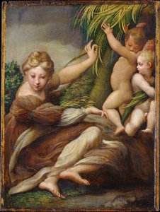 door Parmigianino