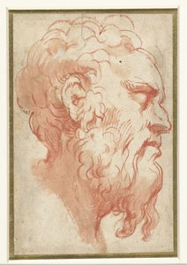 Hoofd van een oude man, en profil naar rechts door Parmigianino