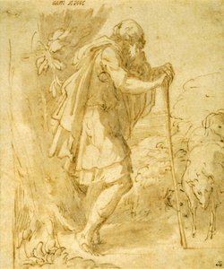 Oude Herder Leunend op een Staf door Parmigianino