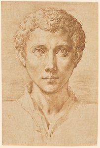 Het hoofd van een jonge man door Parmigianino