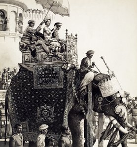 Koningin Elizabeth II op een olifant (gouache)