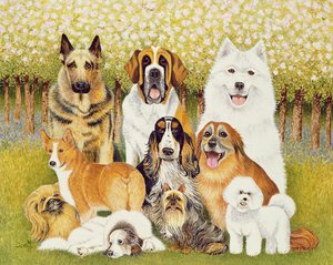 Honden in mei door Pat Scott