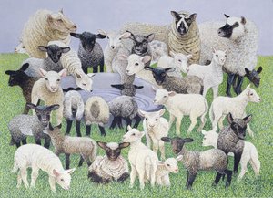 Feeling Sheepish (olieverf op doek)