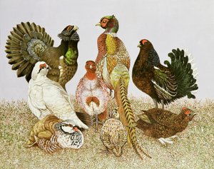 Wilde vogels door Pat Scott