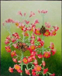 In het roze, 2011 (acryl op calico)