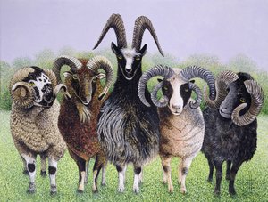 Ramificaties (acryl op calico) door Pat Scott