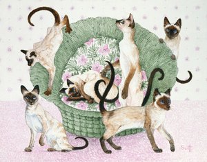 Wij zijn Siamezen als je wilt (acryl op calico) door Pat Scott
