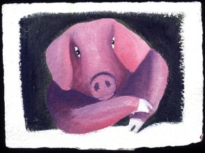 Chinese horoscoop: het teken van het varken