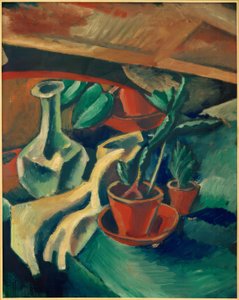 Cactussen en Karaf