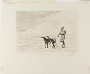 Relais van honden in de woestijn