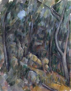 De gronden van het Kasteel Noir door Paul Cézanne