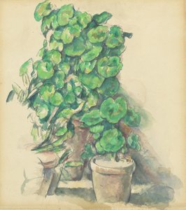 Geraniums, 1888-1890