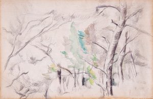 Bomen [recto]; Encagnane met de Pilon du Roi [verso]