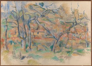 Bomen en huis, Provence