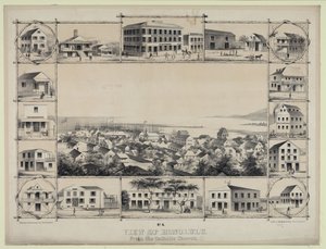 Nr. 4. Uitzicht op Honolulu. Vanaf de katholieke kerk. door Paul Emmert